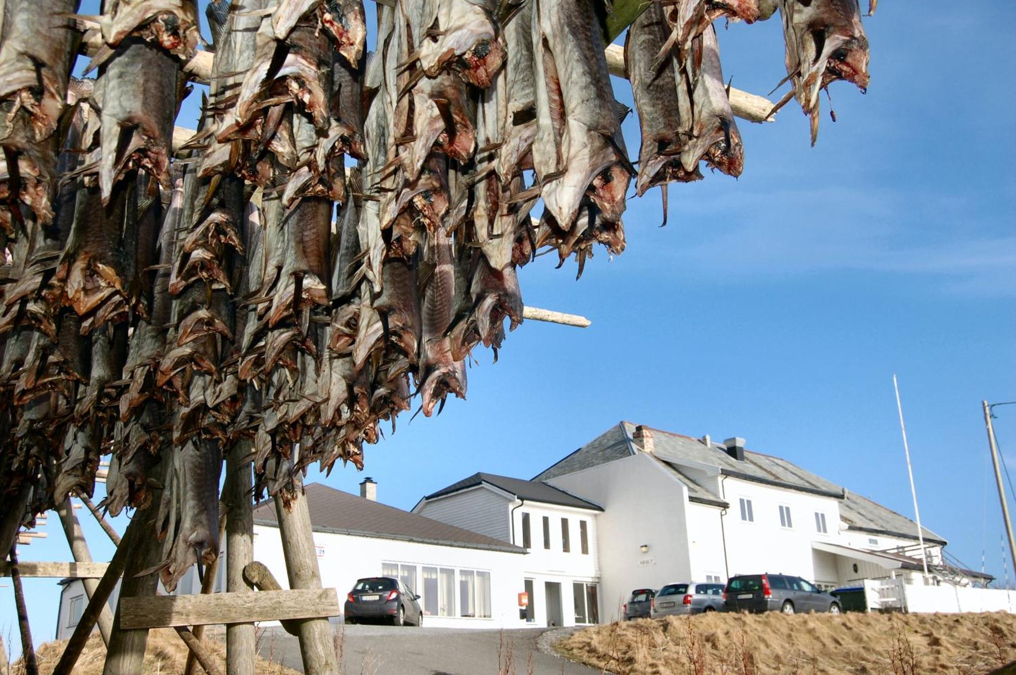 Fiskarheimen Havly, Rost Hotel Kültér fotó