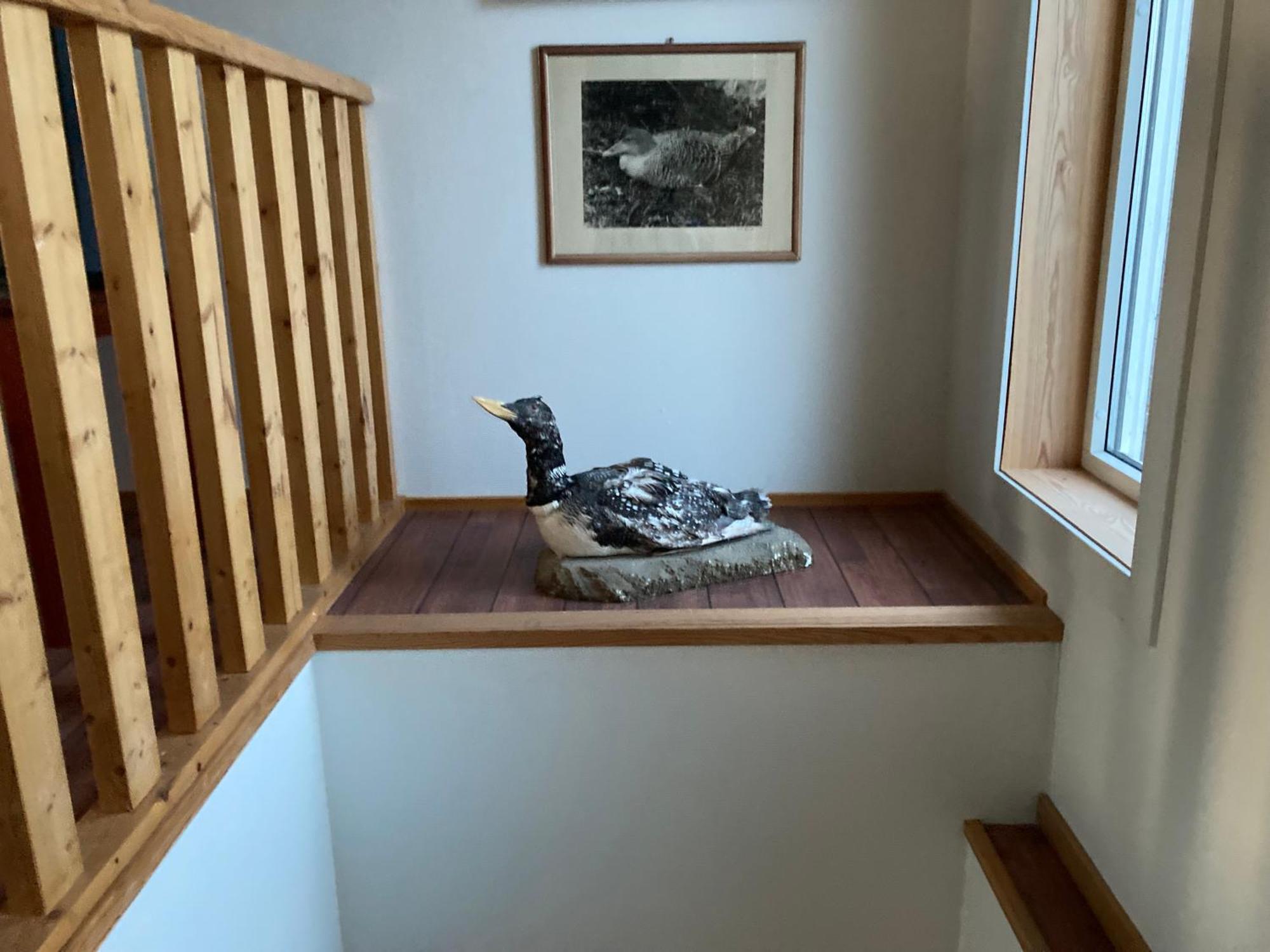 Fiskarheimen Havly, Rost Hotel Kültér fotó